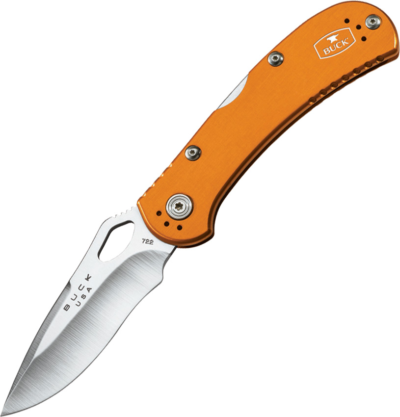 Buck SpitFire Lockback