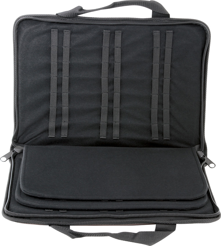 Case Large Carrying Case
